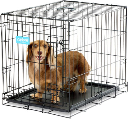 Safe Haven Foldable Single Door Metal Dog Crate, Small, 24.0