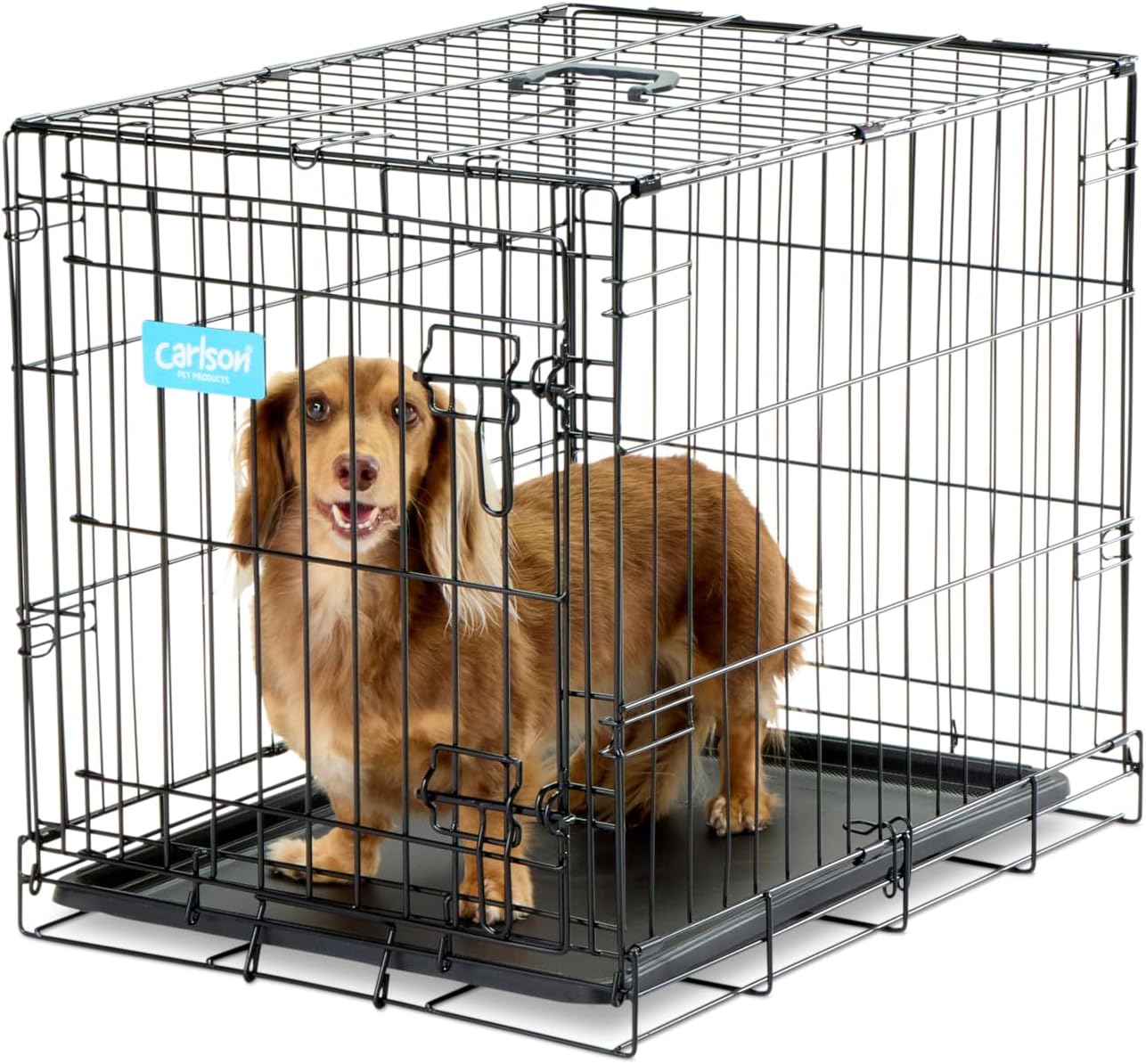 Safe Haven Foldable Single Door Metal Dog Crate, Small, 24.0"L x 18.0"W x 19.0"