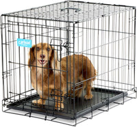 Safe Haven Foldable Single Door Metal Dog Crate, Small, 24.0"L x 18.0"W x 19.0"