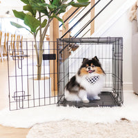 Safe Haven Foldable Single Door Metal Dog Crate, Small, 24.0"L x 18.0"W x 19.0"