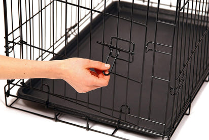 Safe Haven Foldable Single Door Metal Dog Crate, Small, 24.0