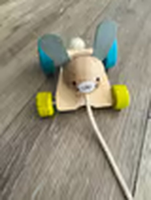 Hopping Rabbit Pull-Along Toy for Toddlers