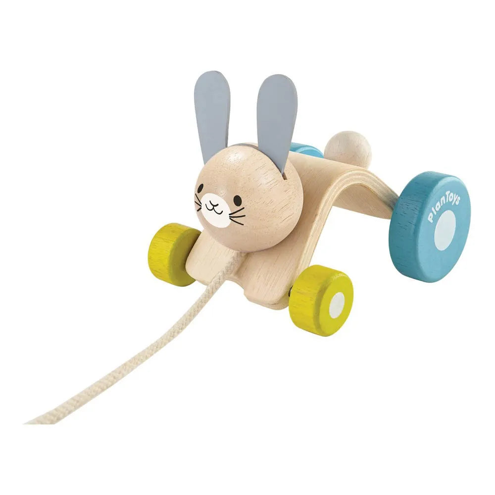 Hopping Rabbit Pull-Along Toy for Toddlers